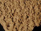 Closeup of Mockley net-impressed body sherd from Dorr Site 18AN19/133.